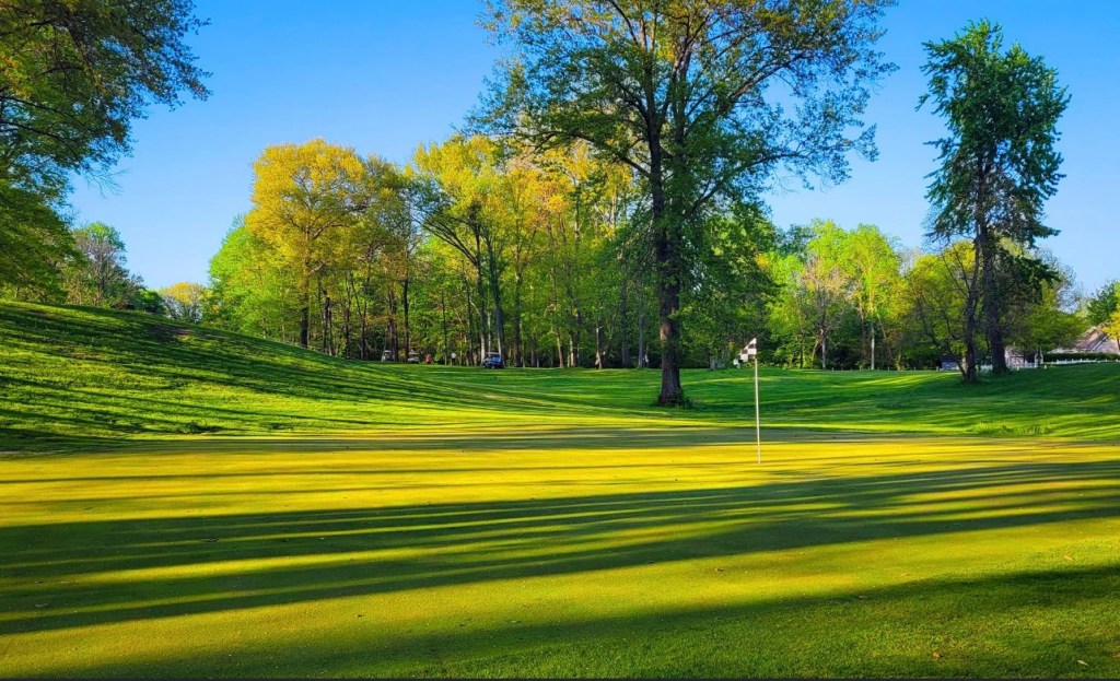 Golf course fairway with trees