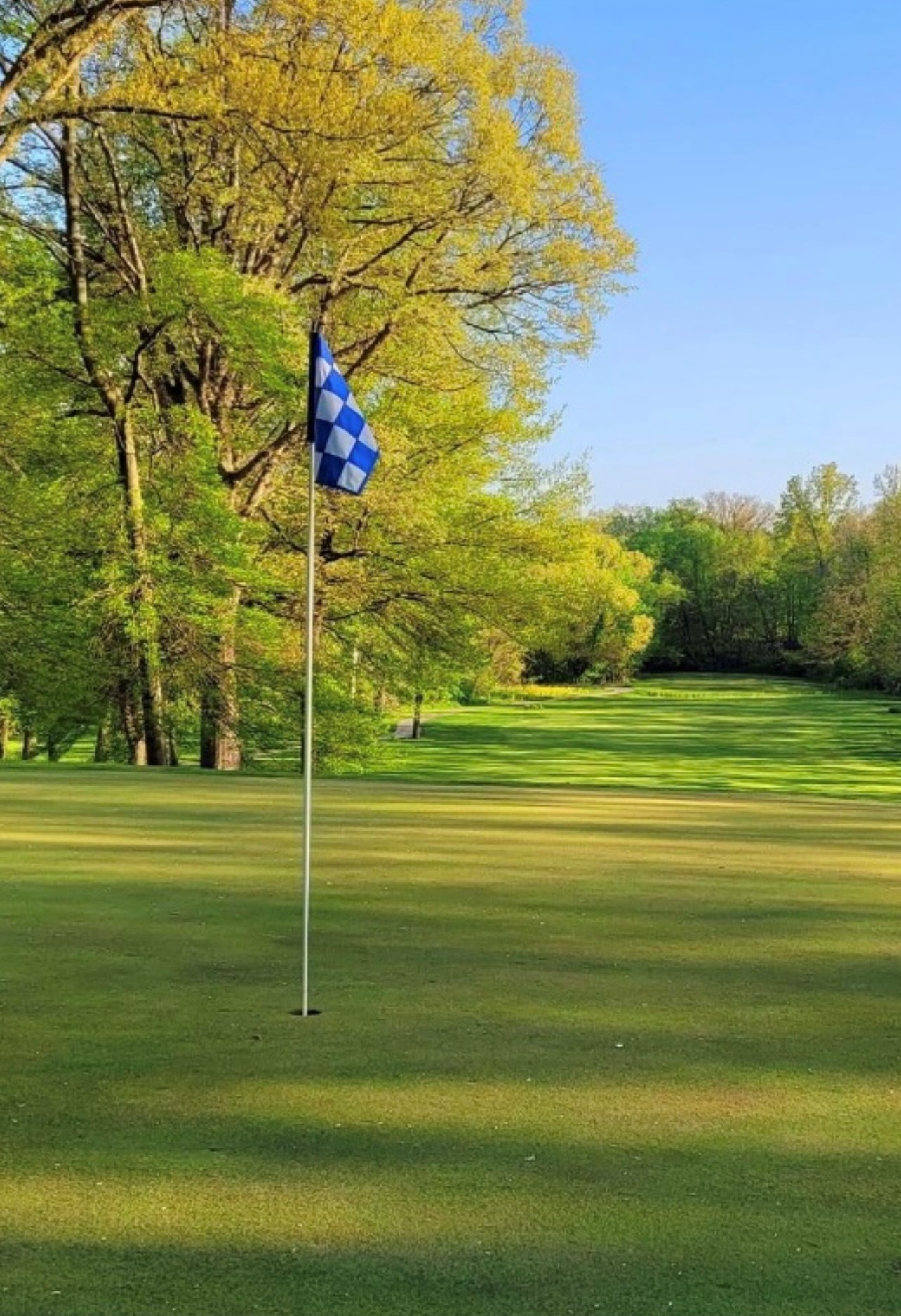 Blue flag on golf course