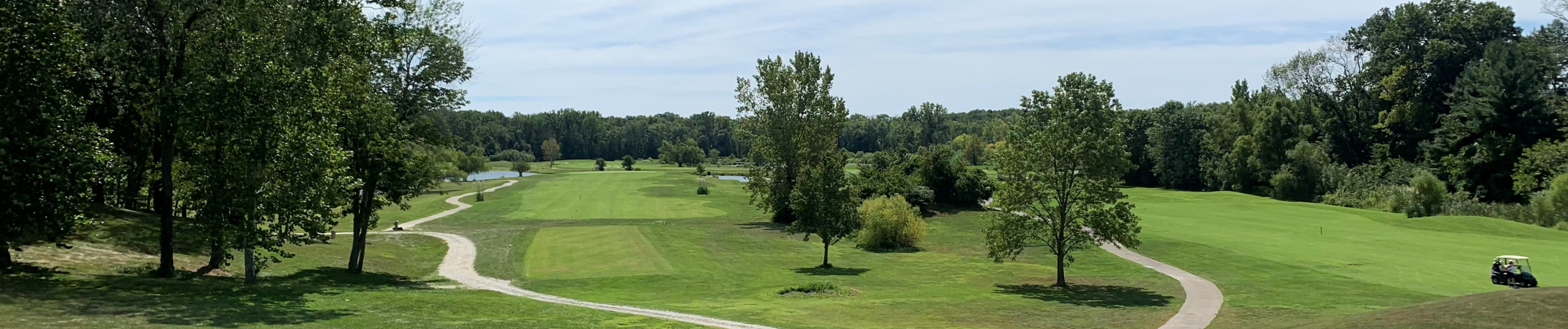 Image of golf ball on tee on grass.